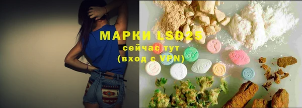 спайс Алзамай