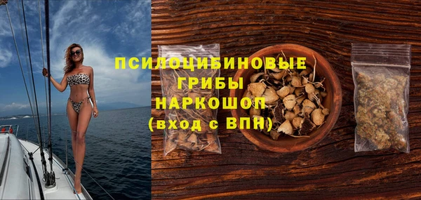 герыч Алексин