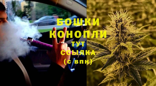 индика Инта