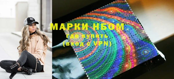твердый Инсар